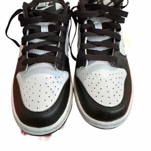 Nike Black and Gray Low Nike Dunks